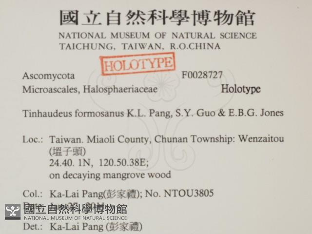 登錄號:F0028727藏品圖，第2張