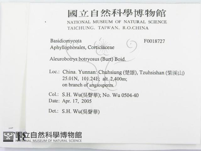 登錄號:F0018727藏品圖，第2張