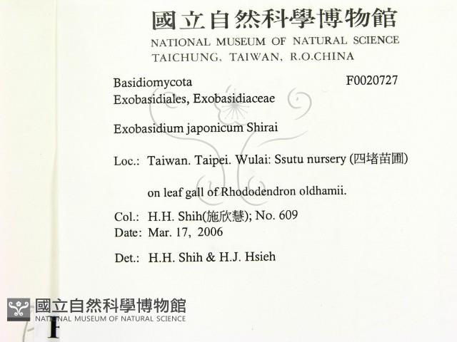登錄號:F0020727藏品圖，第2張