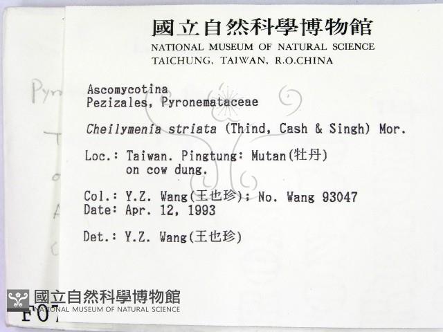 登錄號:F0000727藏品圖，第2張