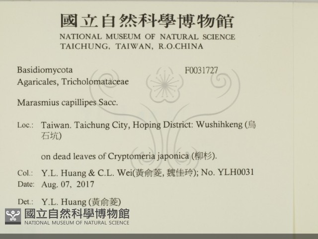 登錄號:F0031727藏品圖，第2張