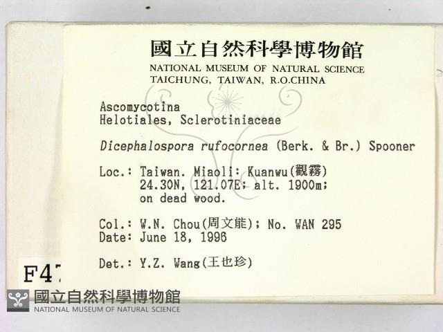 登錄號:F0004727藏品圖，第2張