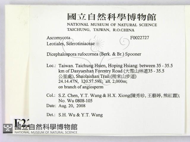 登錄號:F0022727藏品圖，第2張