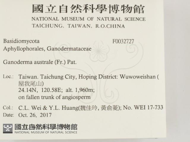 登錄號:F0032727藏品圖，第2張