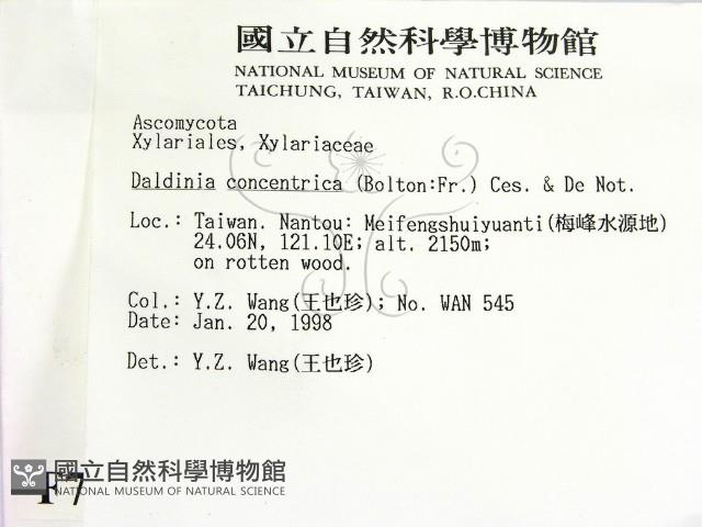 登錄號:F0007727藏品圖，第2張