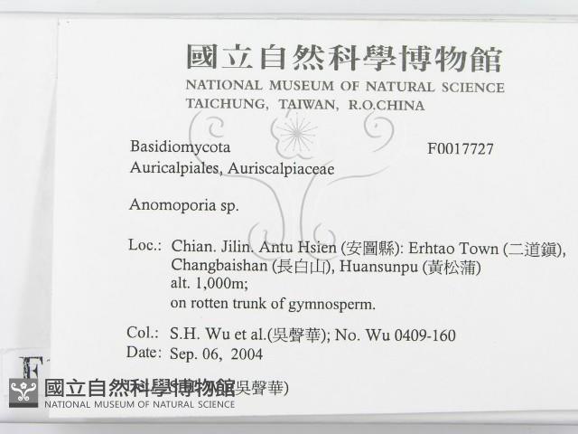 登錄號:F0017727藏品圖，第2張