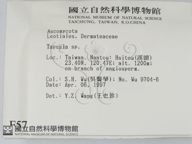 登錄號:F0005727藏品圖，第2張