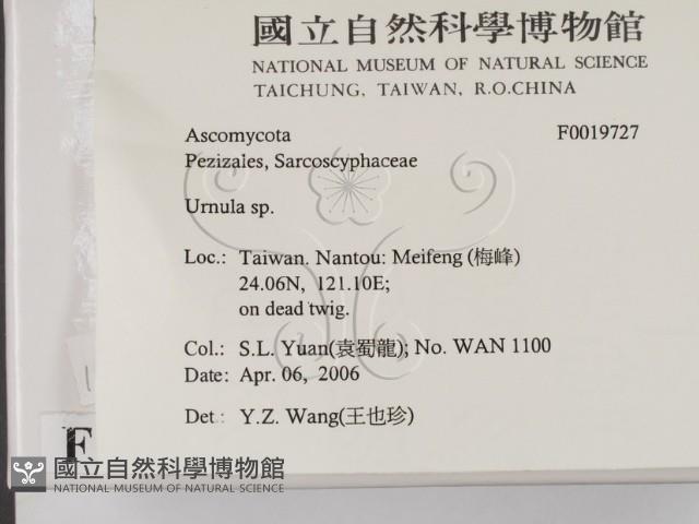 登錄號:F0019727藏品圖，第2張