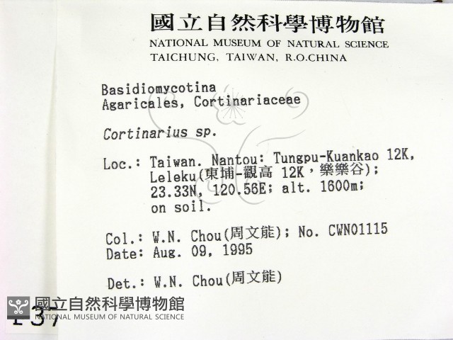 登錄號:F0003727藏品圖，第2張