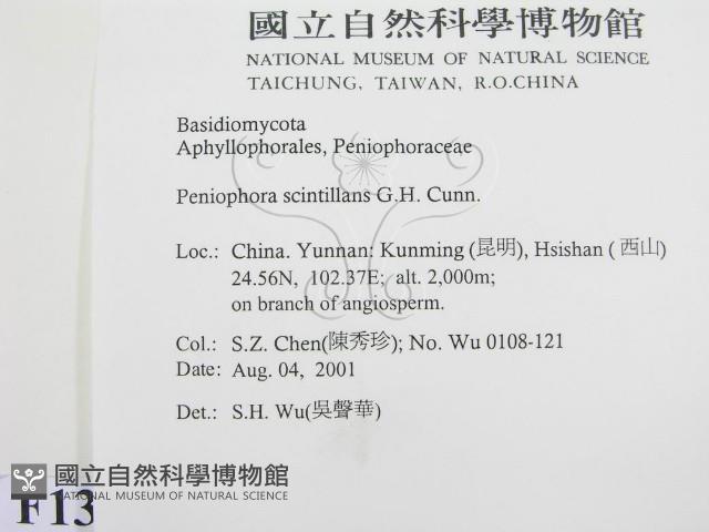 登錄號:F0013727藏品圖，第2張