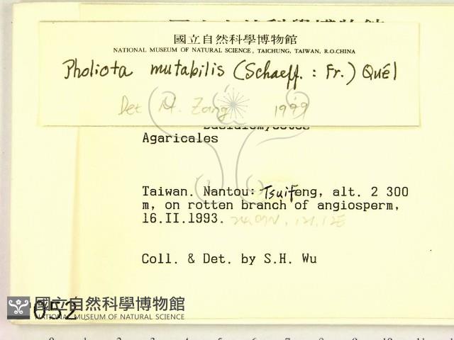 登錄號:F0000527藏品圖，第2張