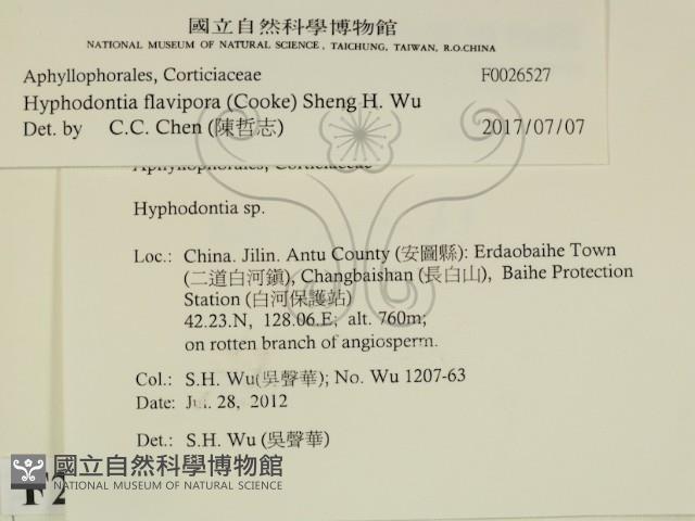 登錄號:F0026527藏品圖，第2張