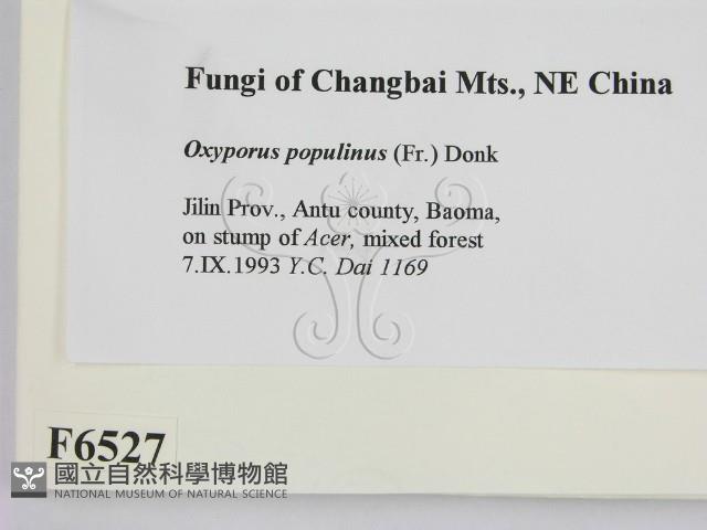 登錄號:F0006527藏品圖，第2張