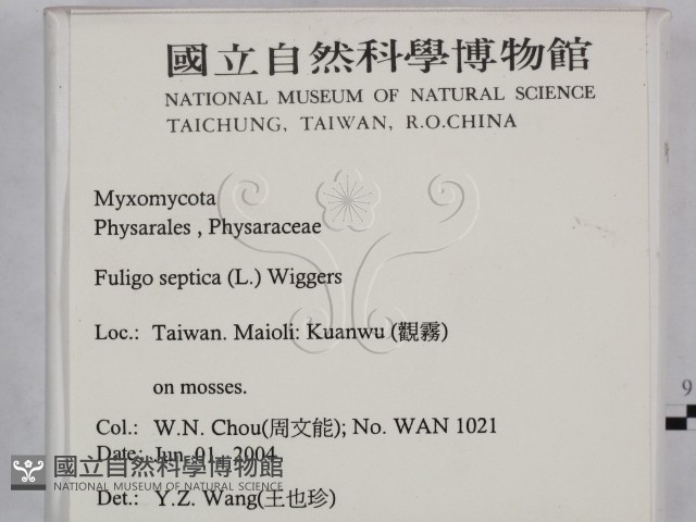 登錄號:F0016527藏品圖，第2張