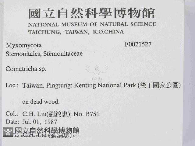 登錄號:F0021527藏品圖，第2張
