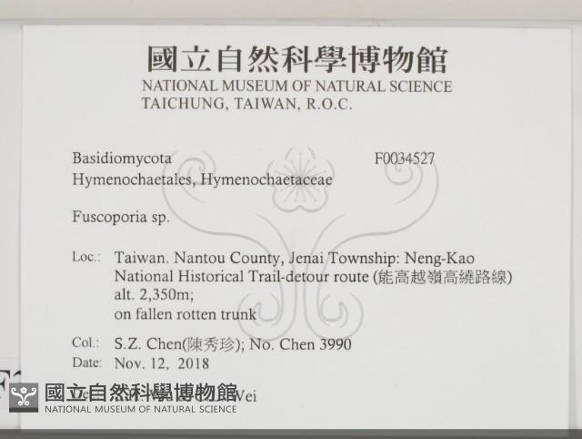 登錄號:F0034527藏品圖，第2張