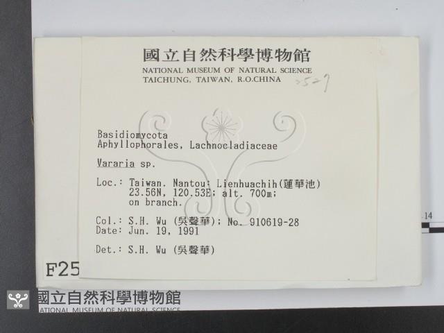 登錄號:F0002527藏品圖，第2張
