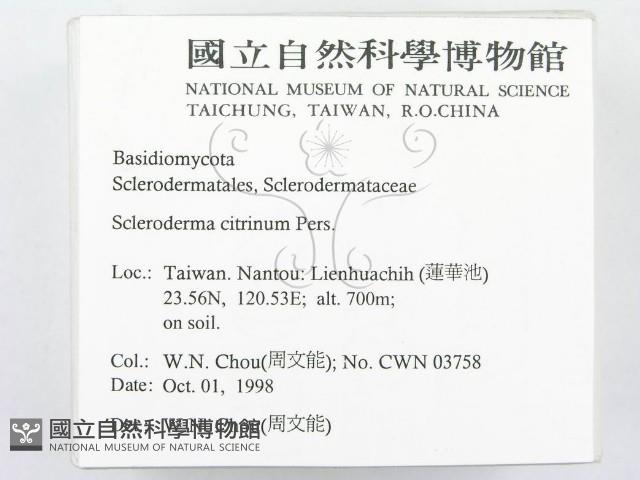 登錄號:F0012527藏品圖，第2張