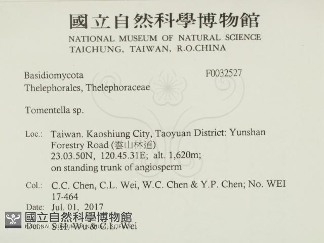 登錄號:F0032527藏品圖，第2張