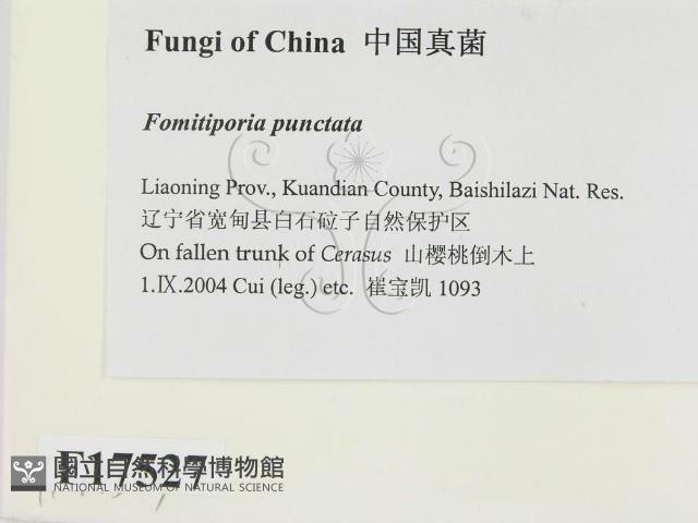 登錄號:F0017527藏品圖，第2張