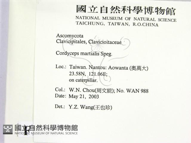 登錄號:F0015527藏品圖，第2張