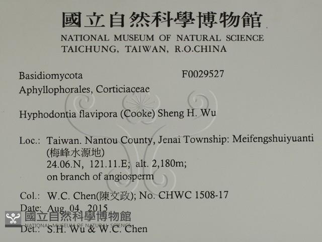 登錄號:F0029527藏品圖，第2張