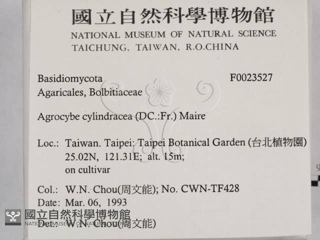 登錄號:F0023527藏品圖，第2張