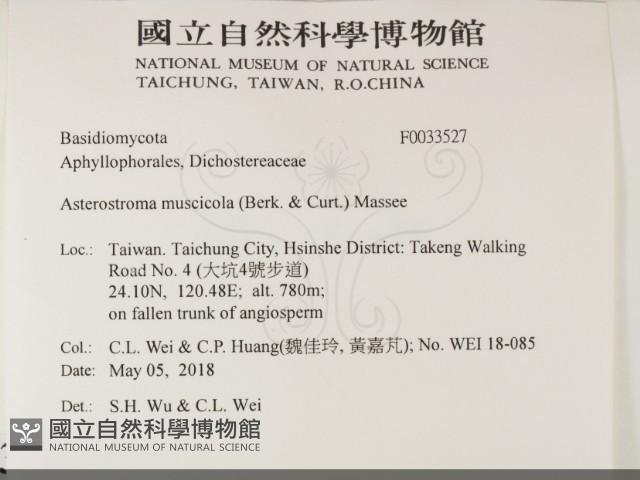 登錄號:F0033527藏品圖，第2張