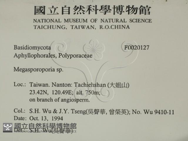 登錄號:F0020127藏品圖，第2張
