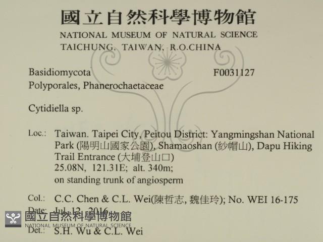 登錄號:F0031127藏品圖，第2張