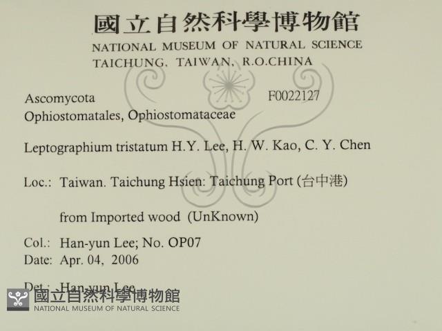 登錄號:F0022127藏品圖，第2張