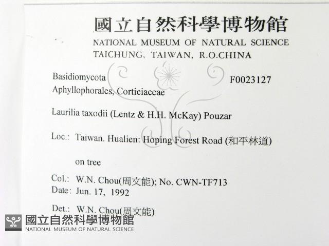 登錄號:F0023127藏品圖，第2張