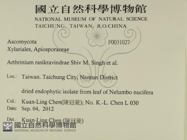 登錄號:F0031027藏品圖，第2張