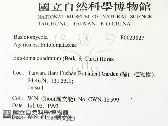 登錄號:F0023027藏品圖，第2張