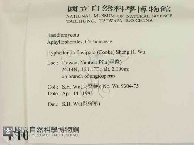 登錄號:F0010327藏品圖，第2張