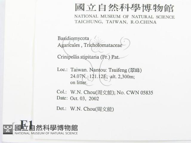 登錄號:F0016327藏品圖，第2張