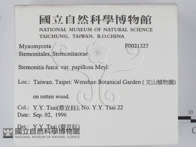 登錄號:F0021327藏品圖，第2張
