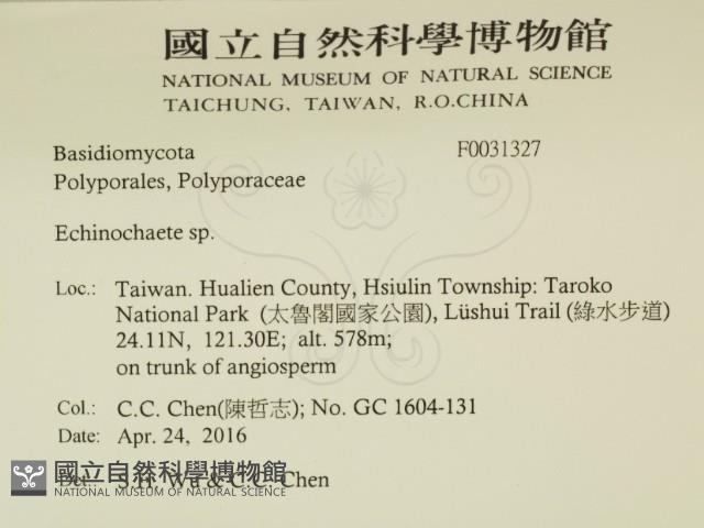 登錄號:F0031327藏品圖，第2張