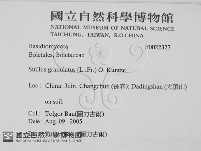 登錄號:F0022327藏品圖，第2張