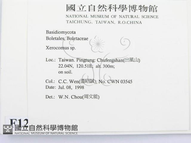 登錄號:F0012327藏品圖，第2張