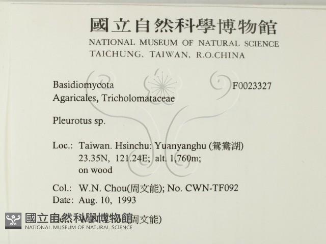 登錄號:F0023327藏品圖，第2張
