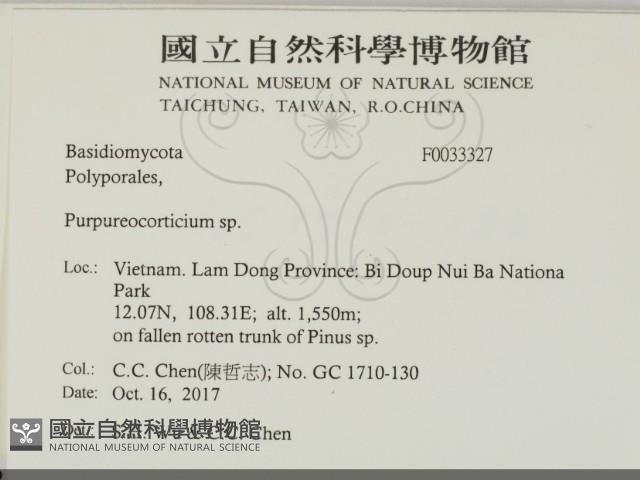 登錄號:F0033327藏品圖，第2張