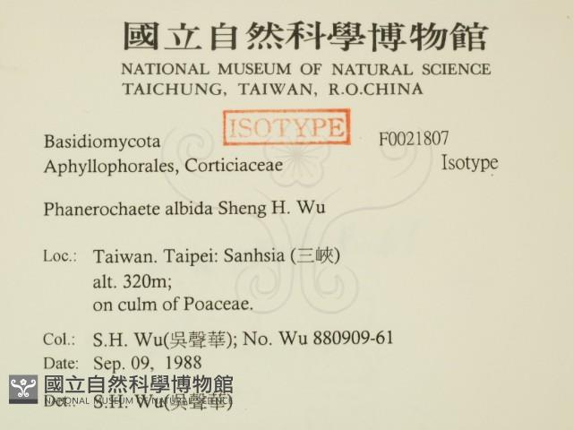 登錄號:F0021807藏品圖，第2張