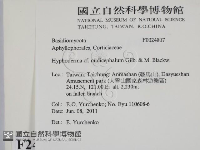 登錄號:F0024807藏品圖，第2張