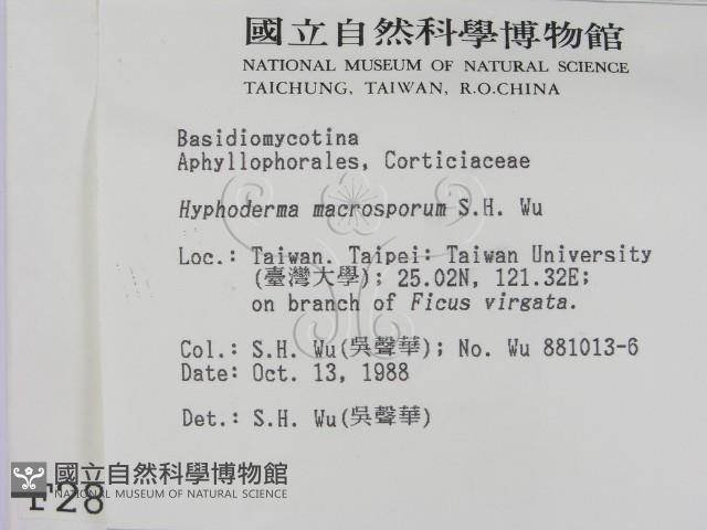 登錄號:F0002807藏品圖，第2張