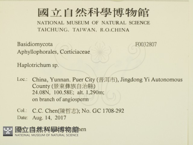 登錄號:F0032807藏品圖，第2張