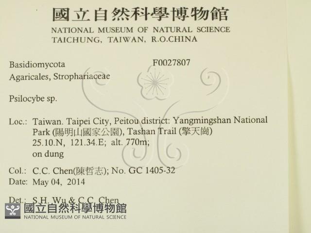 登錄號:F0027807藏品圖，第2張