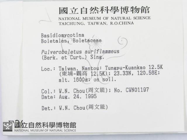 登錄號:F0003807藏品圖，第2張