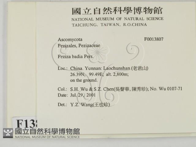 登錄號:F0013807藏品圖，第2張