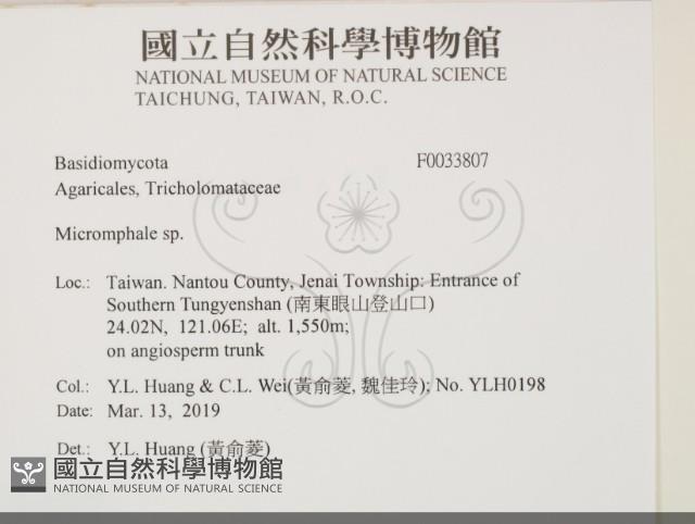 登錄號:F0033807藏品圖，第2張